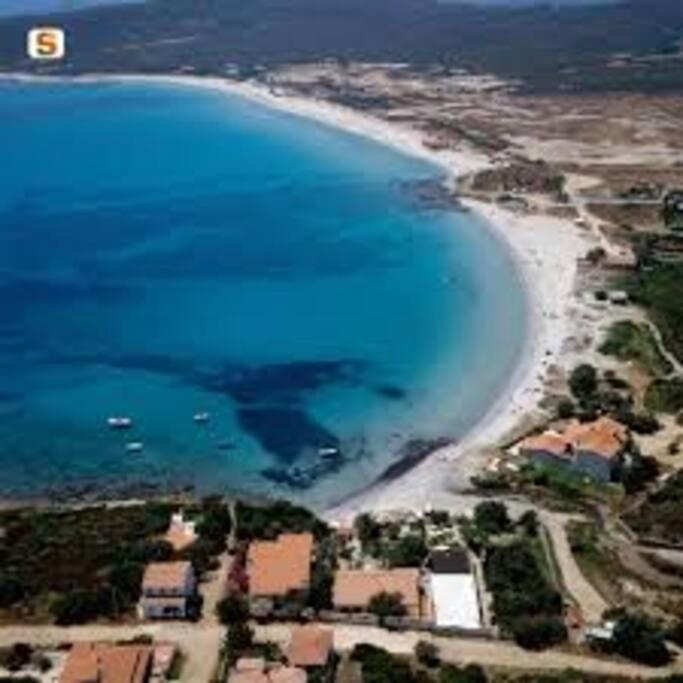 شقة Sardegna Casa A 250 Metri Dal Mare Con Piscina أولبيا المظهر الخارجي الصورة