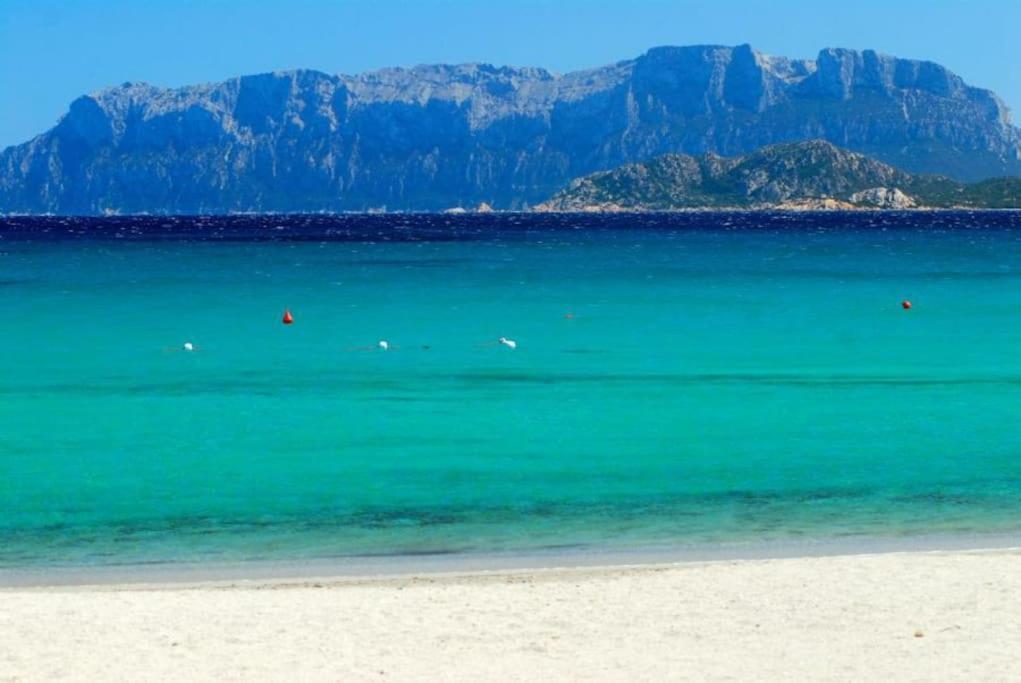 شقة Sardegna Casa A 250 Metri Dal Mare Con Piscina أولبيا المظهر الخارجي الصورة