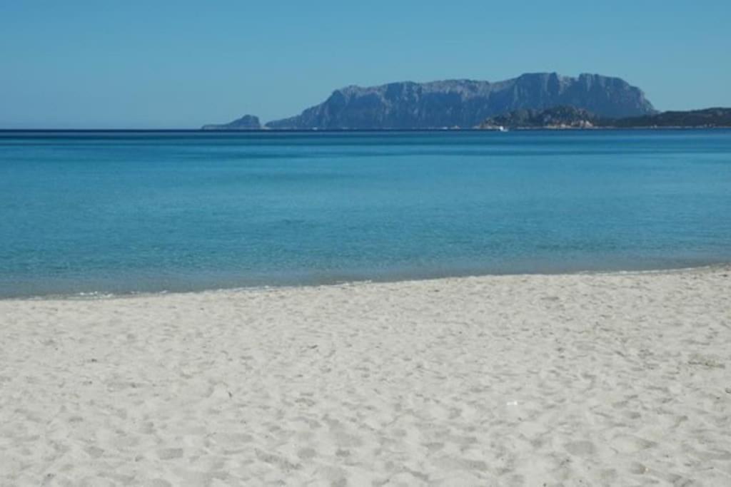 شقة Sardegna Casa A 250 Metri Dal Mare Con Piscina أولبيا المظهر الخارجي الصورة